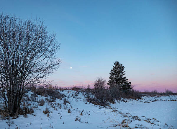 Dawn Art Print featuring the photograph Winter Dawn With Moon by Phil And Karen Rispin