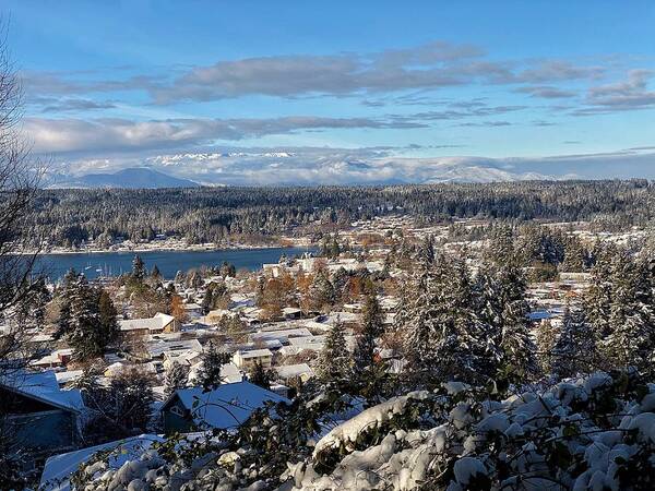Landscape Art Print featuring the photograph Winter in Poulsbo 2022 by Jerry Abbott