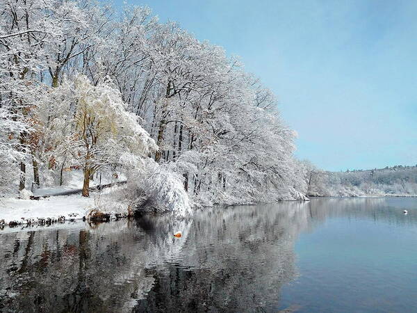 Winter Art Print featuring the photograph Winter Mood by Lyuba Filatova
