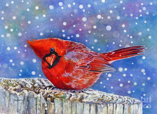 Red Cardinal Art Print featuring the painting Winter Quietude by Hailey E Herrera