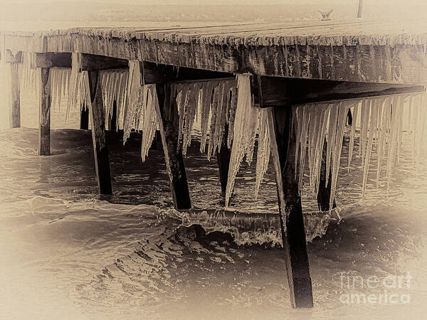 Dock Art Print featuring the photograph Winter Spikes by William Norton