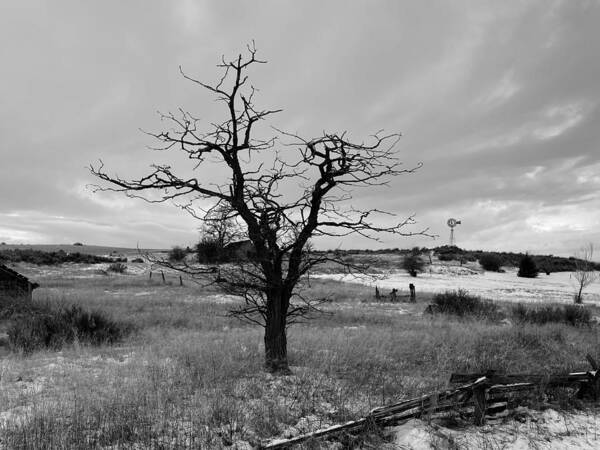 Winter Art Print featuring the photograph Winter Tree Silhouette BW by Jerry Abbott