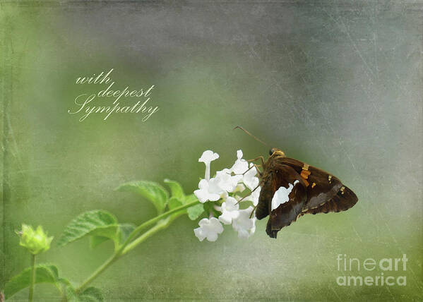 Greeting Card Art Print featuring the photograph with deepest Sympathy by Amy Dundon