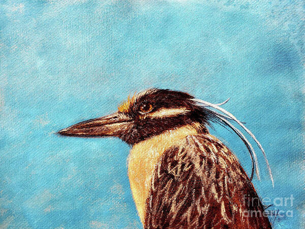 Bird Art Print featuring the painting Yellow Crowned Night Heron by Zan Savage