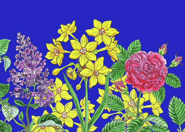 Miniature Daffodil Art Print featuring the painting Yellow Daffodil Lilac Pink Rose Blue Sky Botanical Watercolor Flowers by Irina Sztukowski