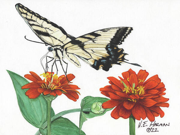 Yellow Tiger Swallowtail Art Print featuring the painting Yellow Tiger by Heather E Harman