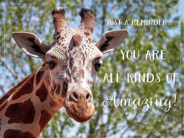 Giraffe Art Print featuring the photograph You Are Amazing by Teresa Wilson