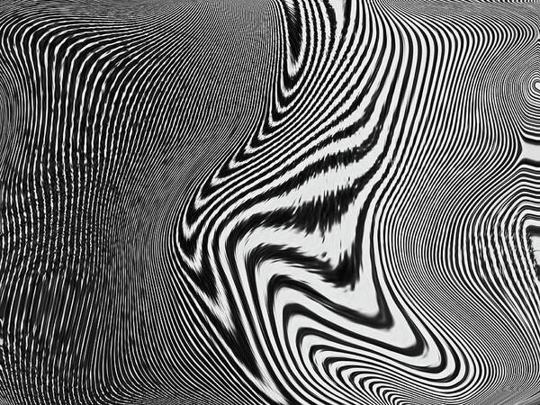  Art Print featuring the digital art Zebra Topography by Melinda Firestone-White