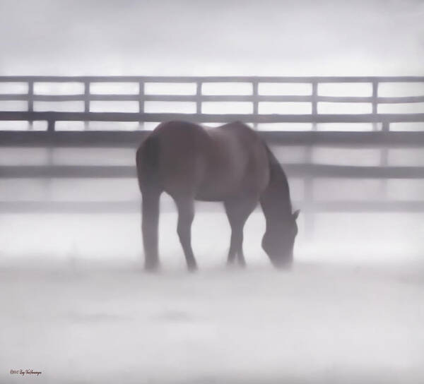 Fog Art Print featuring the photograph Foggy Morning by Lucy VanSwearingen