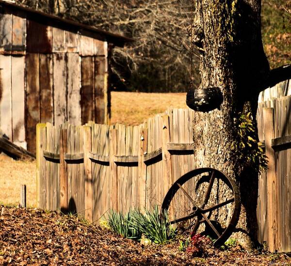 Along A Crooked Fence Art Print featuring the photograph Along a Crooked Fence by Maria Urso