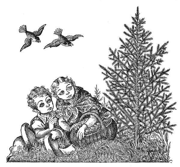 19th Century Art Print featuring the drawing Andersen The Fir Tree by Granger