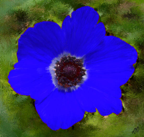 Blue Art Print featuring the painting Blue Calanit Magen by Bruce Nutting