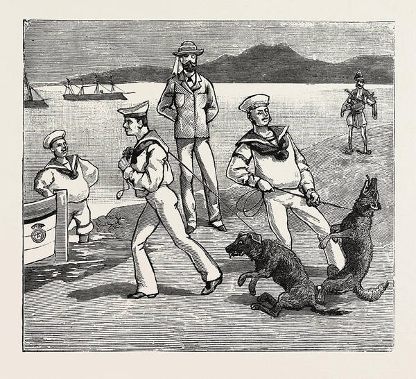 Jove Art Print featuring the drawing By Jove, Those Dogs Seem To Have Taken Quite A Liking by English School