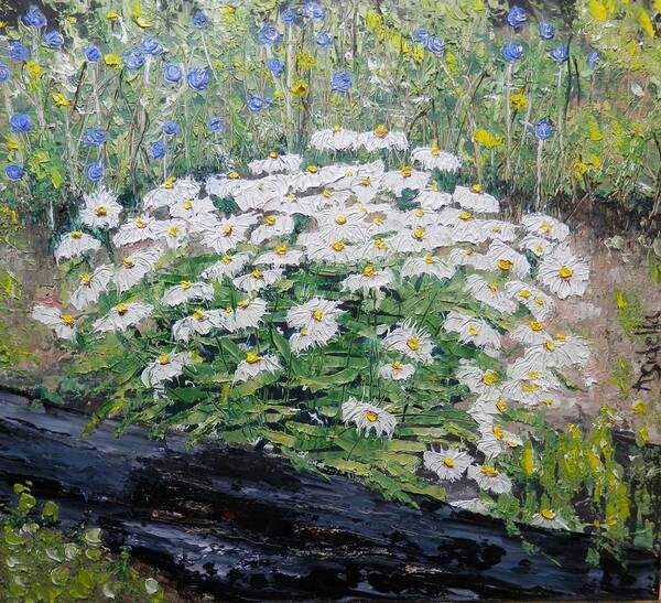 Daisies Art Print featuring the painting Daisies by Annamarie Sidella-Felts
