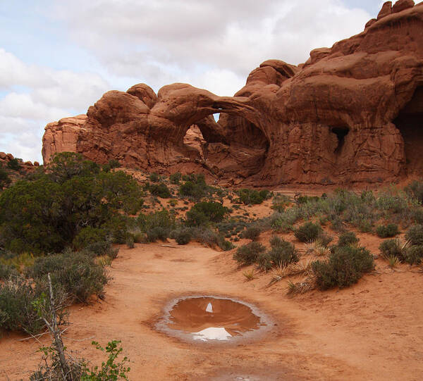 Arches Np Art Print featuring the photograph Double Arch Reflection by Jean Clark