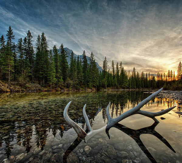 Scenics Art Print featuring the photograph Elk Antler Adds Reflection To Mountain by Ascent Xmedia