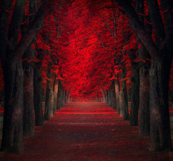 Creative Edit Art Print featuring the photograph Endless Passion by Ildiko Neer