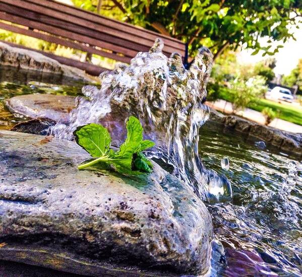 Water Fountain Art Print featuring the photograph Fountain of Peace by Leena Ascencio