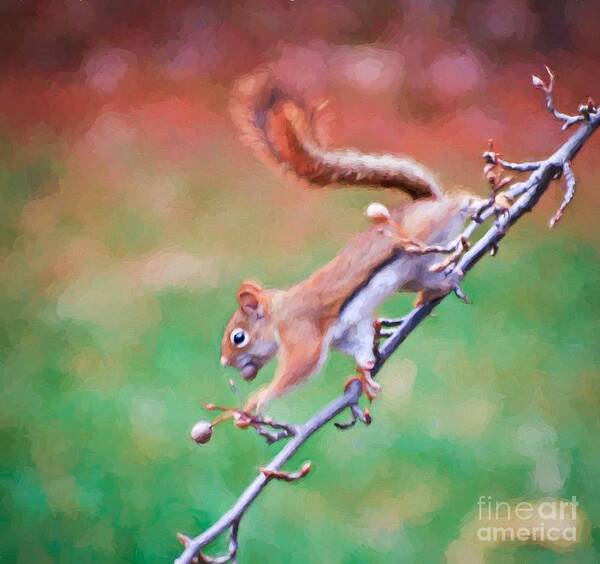 Squirrel Art Print featuring the photograph Grab Life By The Berries by Kerri Farley