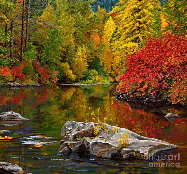 Lake Art Print featuring the painting Autumn Leafy Lakefront by Jackie Case