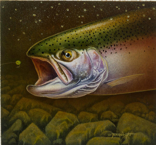 Jon Q Wright Art Print featuring the painting North Shore Steelhead by JQ Licensing