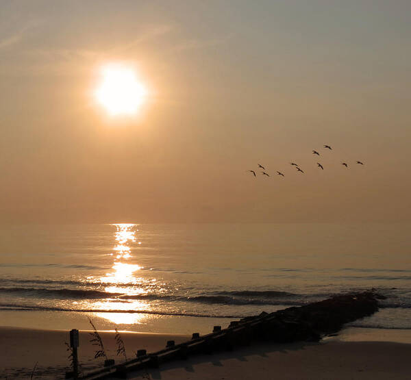 Shore Art Print featuring the photograph Pelican Sunrise by Deborah Smith