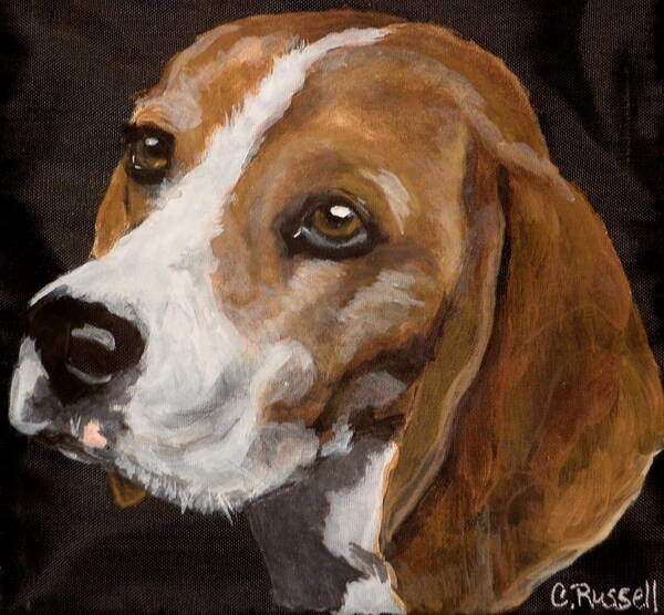 Beagle Portrait Art Print featuring the painting Ronny by Carol Russell