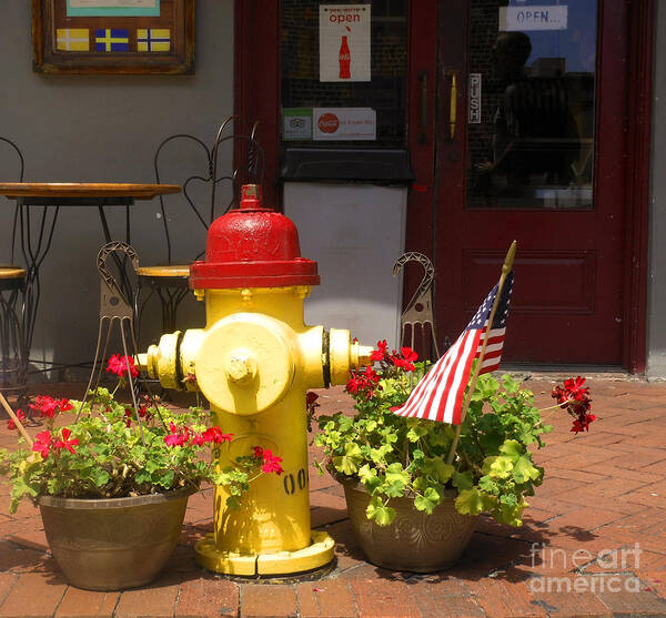 American Flag Art Print featuring the photograph Savannah Fire Hydrant by Sherry Dooley