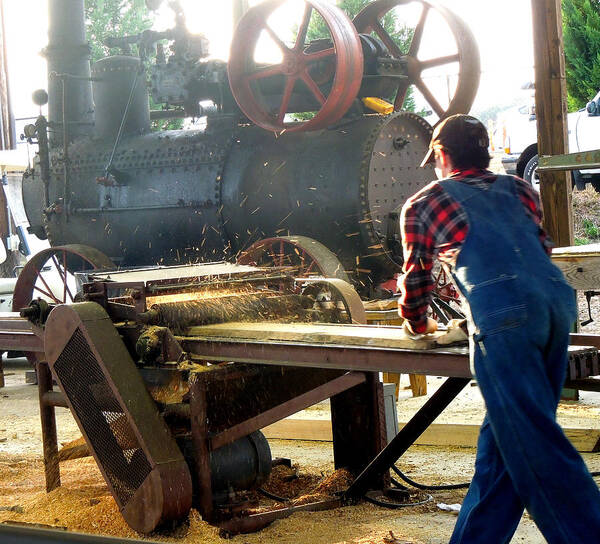 Tree Art Print featuring the photograph Sawmill Planer In Action by Pete Trenholm