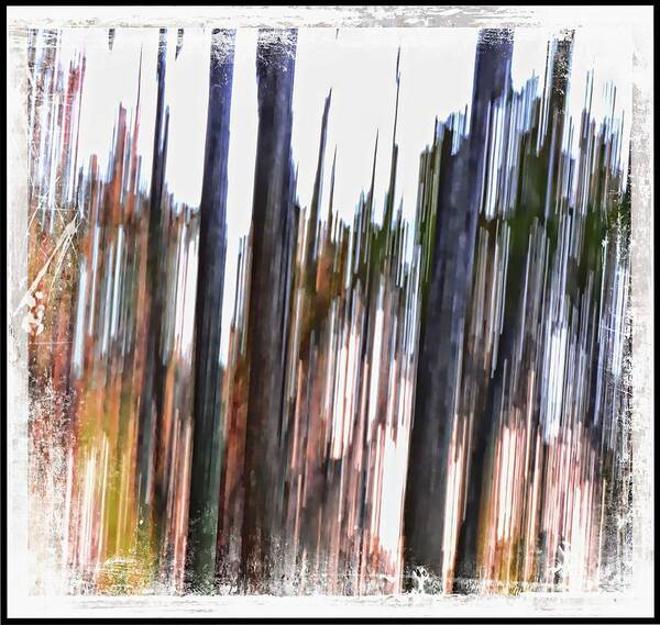 Abstract Art Print featuring the photograph Striation by Marcia Lee Jones