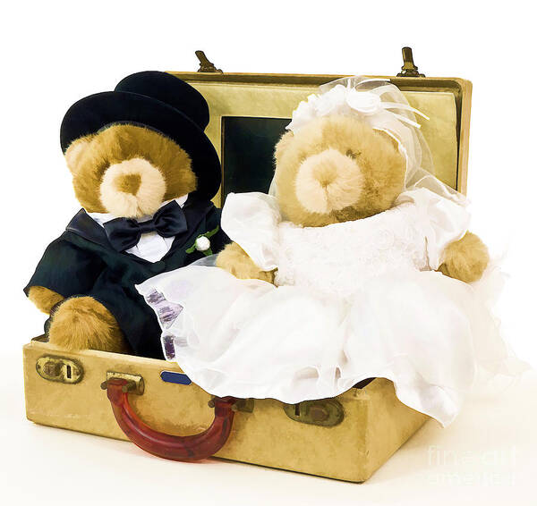 Wedding Bears Teddy Stuffed Animal Honeymoon Bride Groom Art Print featuring the photograph Teddy Bear Honeymoon by Edward Fielding