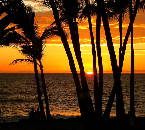 Tropical Art Print featuring the photograph Tropical Sunset by Lori Seaman