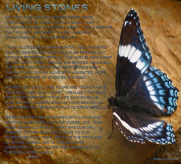 Living Stone Poem Art Print featuring the photograph Living Stones Poem by Debra   Vatalaro