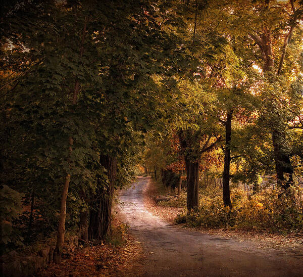 Nature Art Print featuring the photograph Rural Road by Jessica Jenney