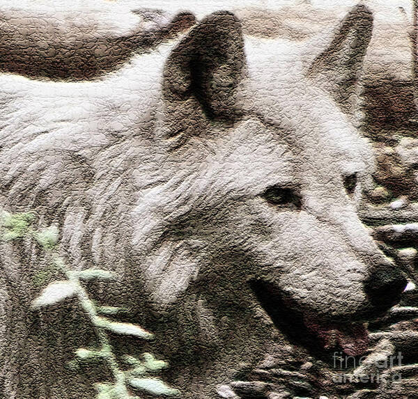 Wolf Photography Art Print featuring the photograph 0mega Rules  by Debra   Vatalaro