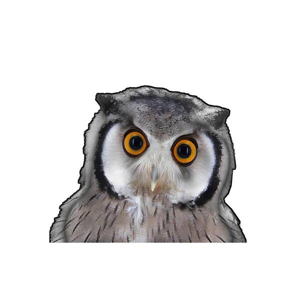 Owl Art Print featuring the digital art OWL #1 by Roger Lighterness