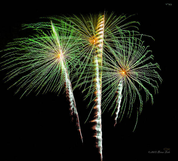 Fireworks Art Print featuring the photograph 3 Palm Trees Fireworks by Brian Tada