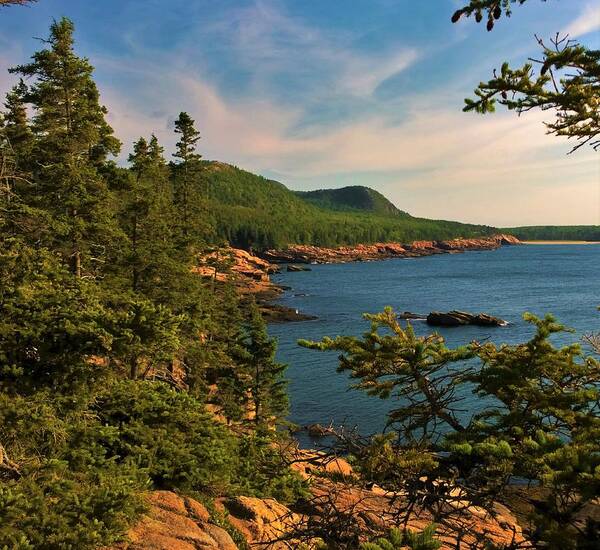 Otter Point Art Print featuring the photograph Acadia by Lisa Dunn