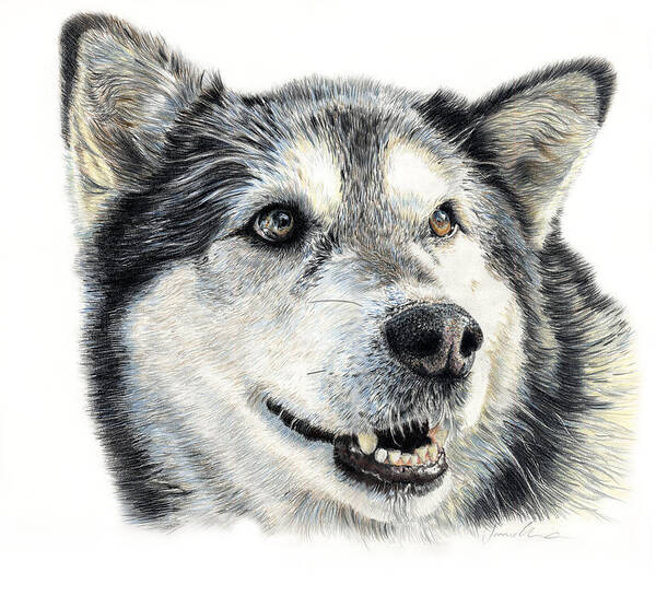 Husky Art Print featuring the drawing Aztec by Joanne Stevens