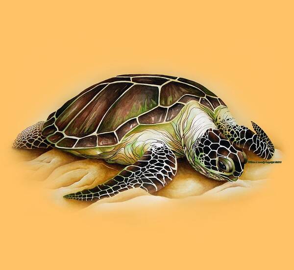 Sea Turtles Art Print featuring the digital art Beached For Promo Items by William Love