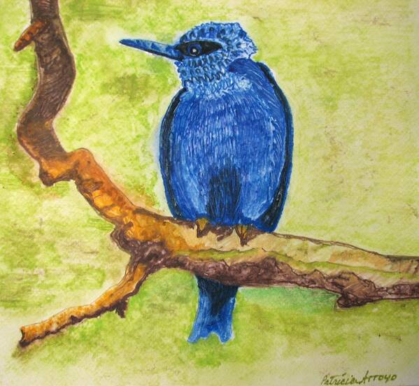 Birds Art Print featuring the painting Black as Blue Bird by Patricia Arroyo