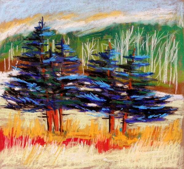 Blue Spruce Art Print featuring the drawing Blue Spruce Stand by John Williams
