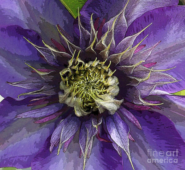 Clematis Art Print featuring the photograph Crystal Fountain by Jeanette French