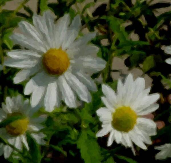 Daisy Art Print featuring the digital art Daisies by the number by Anita Burgermeister