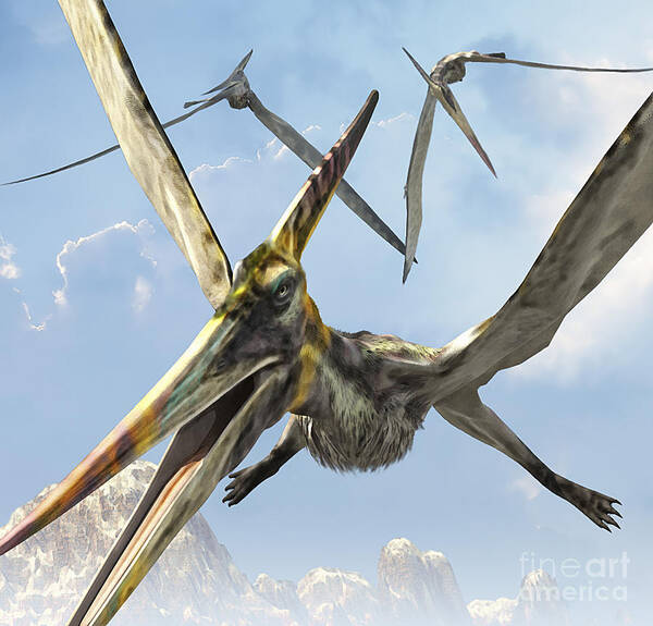 Illustration Art Print featuring the digital art Flying Pterodactyls Searching For Food by Kurt Miller