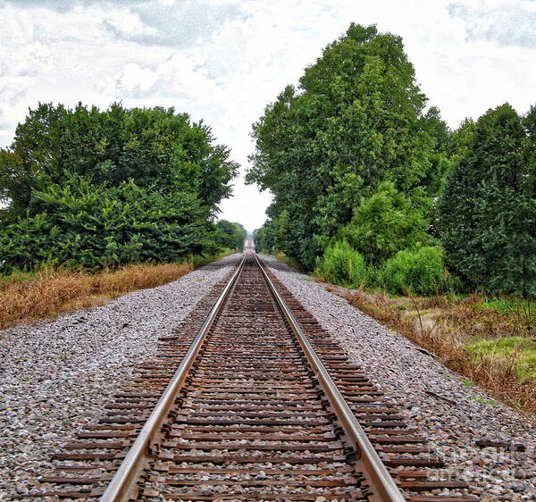 Railroad Track Art Print featuring the photograph Lonely Track by Linda James