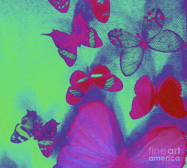 Butterflies Neon Fuchsia Lime Art Print featuring the photograph Luna by Kristine Nora