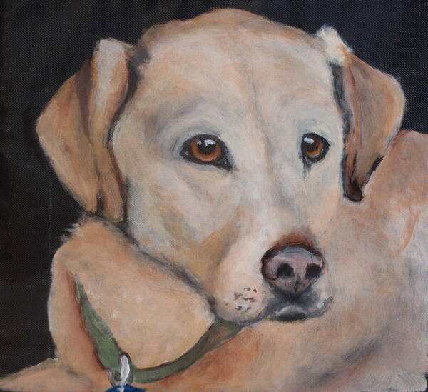 Yellow Labrador Art Print featuring the painting Paige by Carol Russell