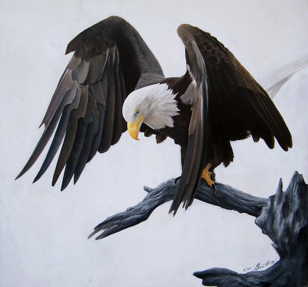 Eagle Art Print featuring the painting Poised by David Vincenzi