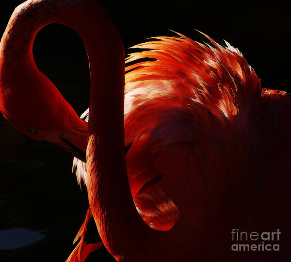 Flamingo Art Print featuring the photograph Preen by Linda Shafer